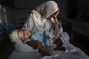 Как выглядят фото победителей конкурса от World Press Photo