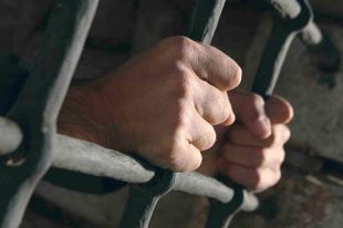 За первый месяц произошло 1284 кражи