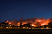 15 февраля. Лесные пожары, бушующие в Новой Зеландии, приблизились к городу Крайстчерч.