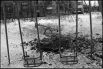 Это фото находится в номинации «В фокусе». В кадре видим детскую площадку, на которой года четыре назад еще играли дети
