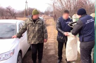 Задержание злоумышленника