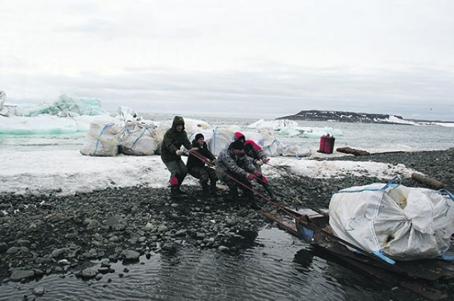 Несколько лет подряд тонны мусора вывозятся с островов Ледовитого океана.