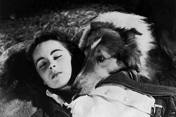 Элизабет Тейлор начала сниматься в 1942 году. В фильме «Лесси возвращается домой» (1943).
