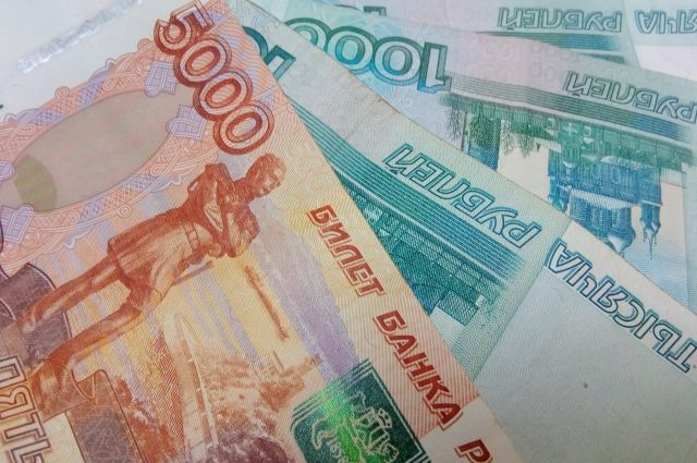 Зоозащитник из Сорочинска заплатит 50 тысяч за порчу шуб серной кислотой