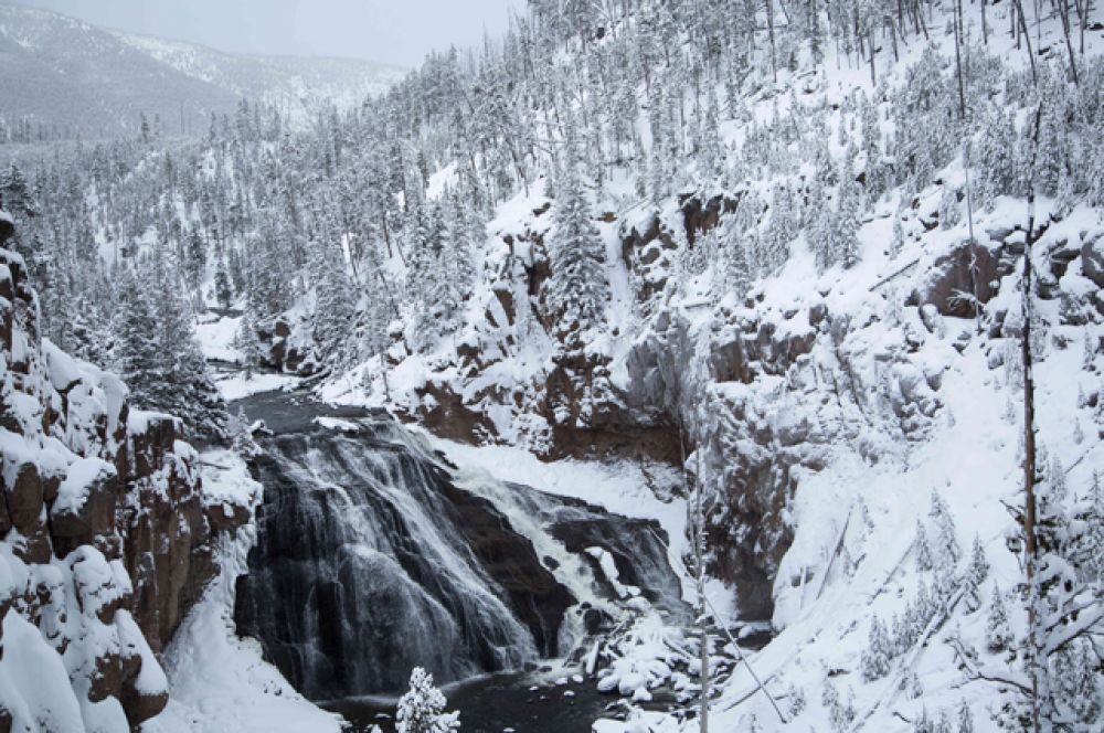 Йеллоустоунский заповедник зимой.