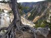 Нижний Водопад и каньон реки Йеллоустон.