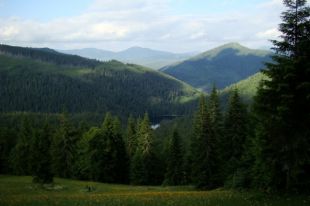 Парк Синевир