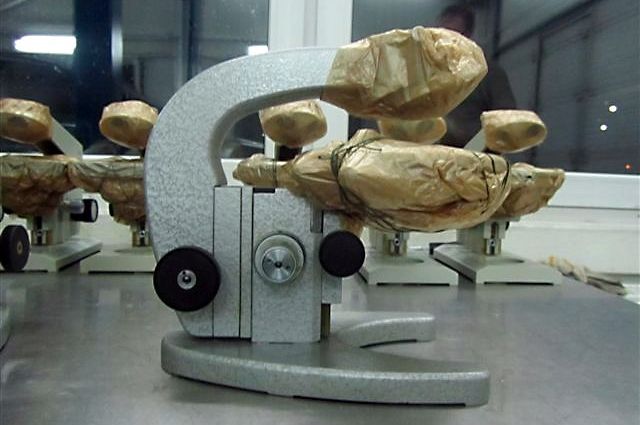Таможня изъяла у калининградца 53 кг советских термометров и микроскопов.