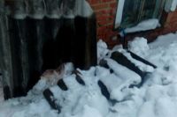 Сосед Галины скидывал снег с крыши и вместе с ним скинул кусок шифера.