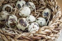 Яйца перепёлки в два раза превышают содержание холина, который способствует снижению холестерина в крови. 