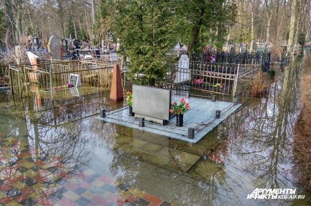 В Калининграде затопило старое кладбище на проспекте Мира.