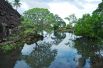 Развалины доисторического города Нан-Мадол в Восточной Микронезии или «тихоокеанская Венеция». Здесь опасность представляет заиливание водных путей и разрастание мангровых зарослей.