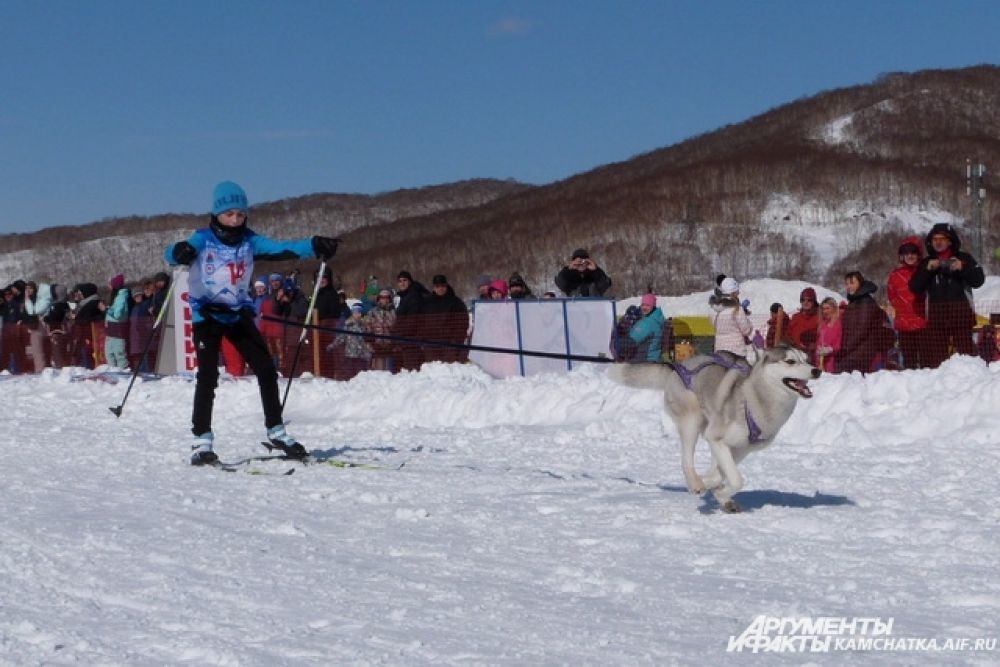 Скиджоринг — одна из дисциплин ездового спорта, в котором лыжник-гонщик передвигается свободным стилем по лыжной дистанции вместе с одной или несколькими собаками.