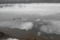 Один из друзей мальчика сообщил, что пропавший мог провалиться под лед на реке.