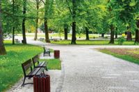 В 120 парках и скверах Киева проведут ремонтные работы