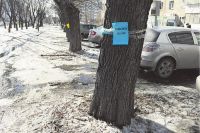 Жители микрорайона обклеили деревья, которые должны срубить, листками с призывами о помощи.