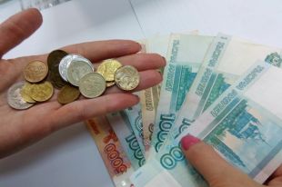 Средства на эти цели потратили 20 многодетных семей.