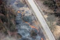 30 га земли выгорело за сутки в Калининградской области из-за пала травы.