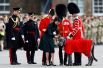 Принц Уильям и Герцогиня Кембриджская Кэтрин в этот день посетили традиционный военный парад в Лондоне, где раздали трилистники всем участникам, в том числе, ирландскому волкодаву по имени Домналл.