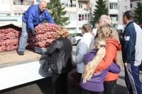 В Калининграде выбирают новое место для сельхозярмарки.