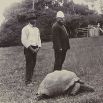 Черепаха Джонатан считается старейшим из живущих на Земле сухопутных животных. По мнению ветеринара, присматривающего за Джонатаном, тот родился не позже 1836 года. За время жизни черепахи на острове Святой Елены сменилось 28 губернаторов.