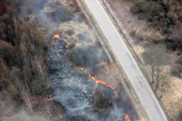 Власти Калининградской области объявили о начале пожароопасного сезона.