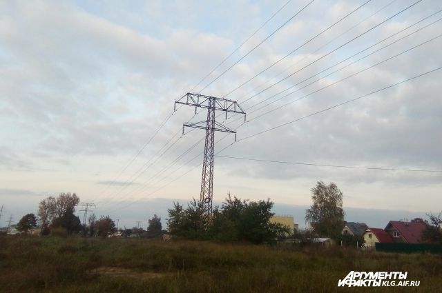 Пять поселков под Гурьевском остались без света из-за спиленного дерева.
