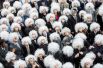 28 марта. Участники флешмоба «Следующий Эйнштейн», который установил мировой рекорд Гиннеса как «крупнейший сбор людей, одетых как Альберт Эйнштейн» в Торонто, Канада.