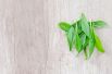 Черемша. Весной островато-пряная черемша становится непременным компонентом зеленых салатов. Это отлично, потому что черемша — очень полезное растение. В ней содержится витамин С, витамин А (отвечает за правильный обмен веществ, а также молодость и красоту), витамины группы В, в том числе фолиевая кислота, витамин РР, при недостатке которого нас атакуют сезонная депрессия, бессонница и многие другие неприятности. А также микроэлементы: железо, медь, марганец, селен, фтор, цинк, йод, фруктоза, бета-каротин, эфирные масла, аминокислоты.