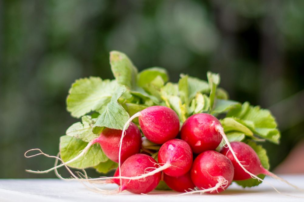 Редис. Слегка горчит, придавая салатам интересный, острый вкус. Еще в редиске есть витамины группы В и РР, соли калия, фосфора, кальция, магния, натрия, железа. Но нужно помнить, что при болезнях печени, поджелудочной железы редис нужно употреблять очень аккуратно.