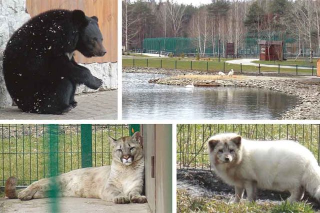 После зимы звери в Белгородском зоопарке чувствуют себя хорошо.