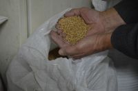Ставропольское зерно пока лежит на складах. 
