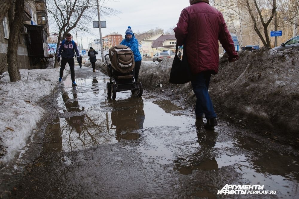 Не все радуются весеннним ручьям
