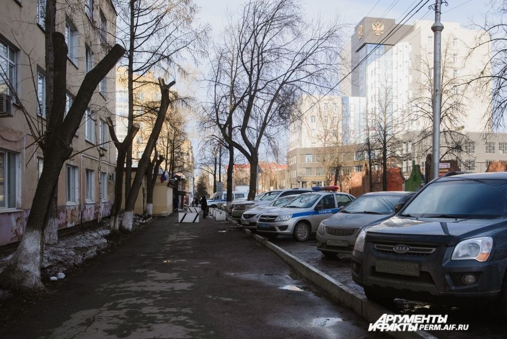 Небо, словно написанное акварелью, деревья, словно начерченные углём.