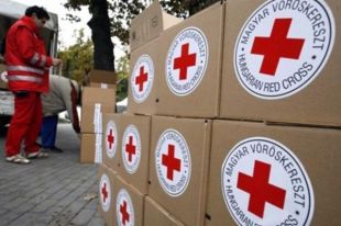 Красный Крест выделил на Донбасс 7 грузовиков с продуктами и медикаментами
