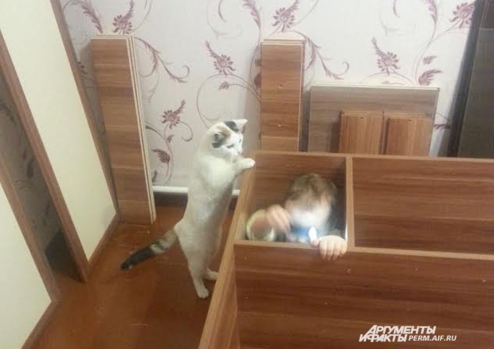 Участник № 13. Игпра в прятки
