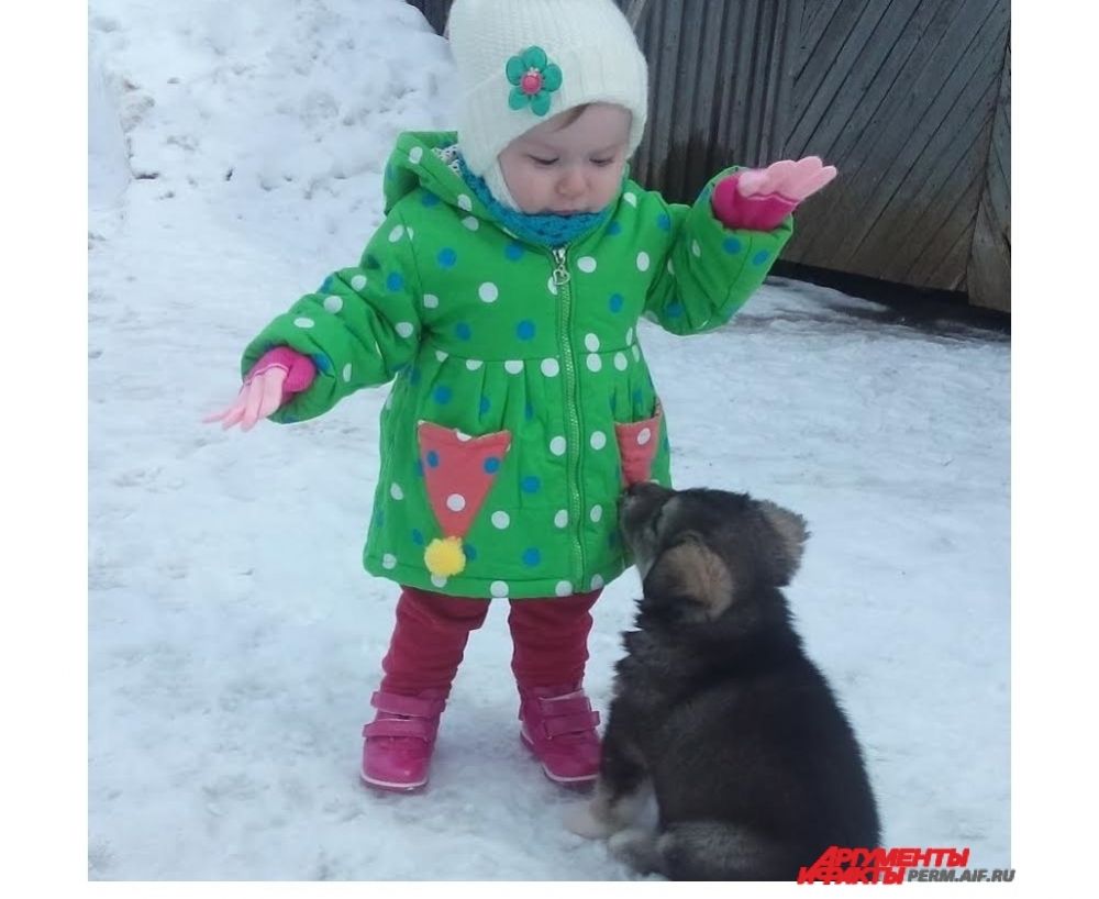 Участник № 12. Юная дрессировщица