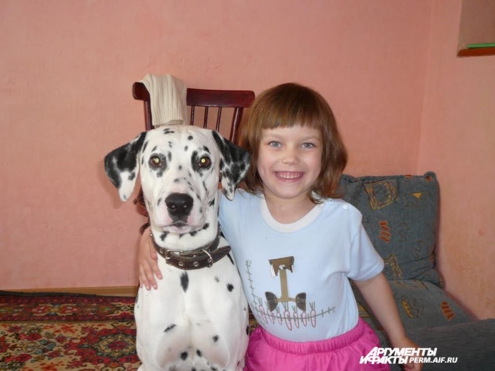 Участник № 14. Пёс Портос - отличный друг