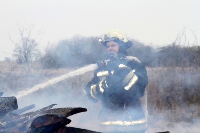 30 раз выезжали калининградские пожарные на тушение сухой травы. 