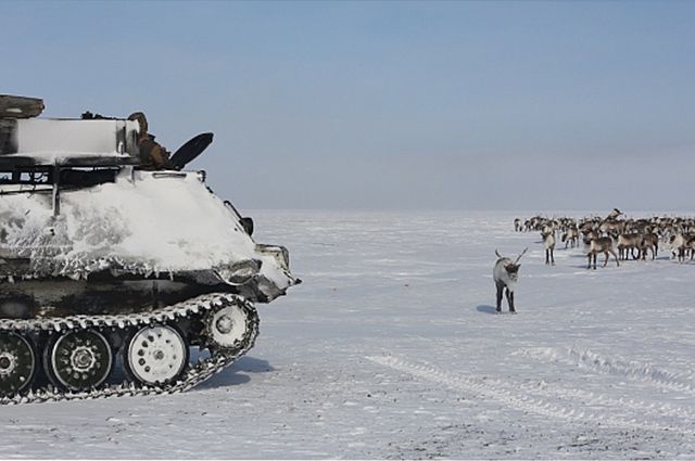 На Ямале приостановлено движение по зимнику Аксарка - Салемал - Панаевск - Яр-Сале.