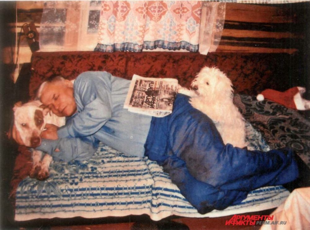 Участник № 20. «Спи, хозяин, мы на страже!»