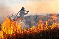 С начала сезона уже сгорело 110 гектаров леса. 