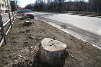 Жители домов на улицах Богдана Хмельницкого и Дегтярёва недосчитались больше 70 деревьев. От них остались одни пеньки.