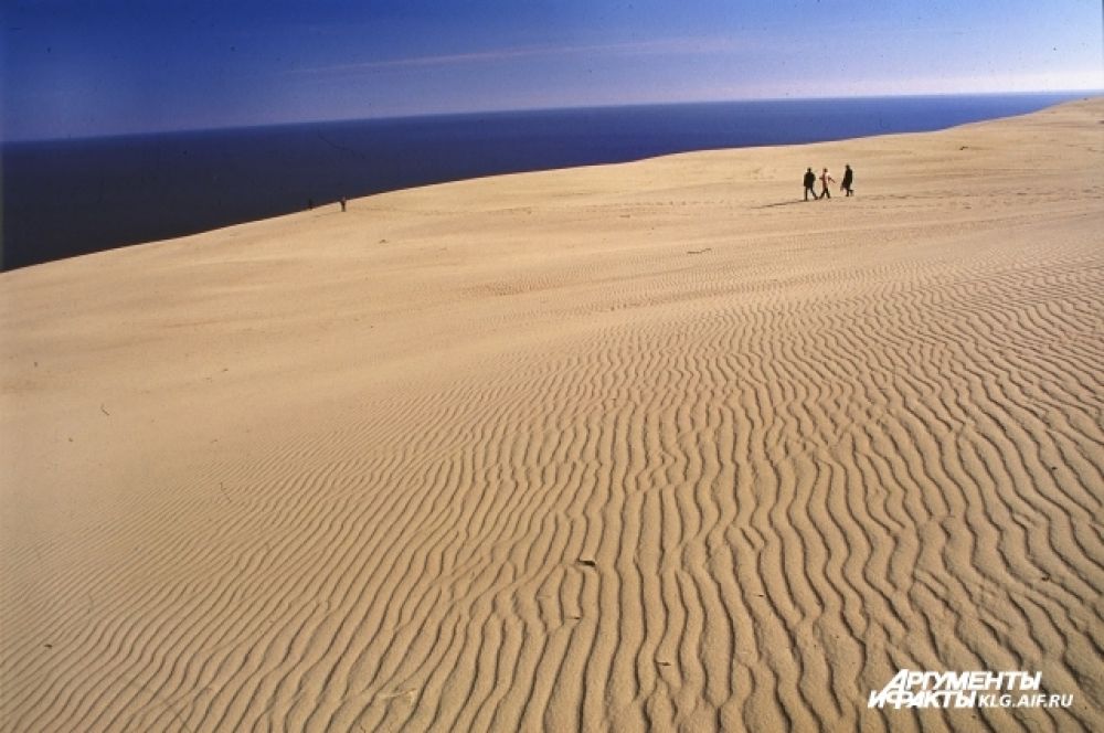 Природная уникальность территории национального парка состоит в том, что это самая крупная песчаная пересыпь в мире.