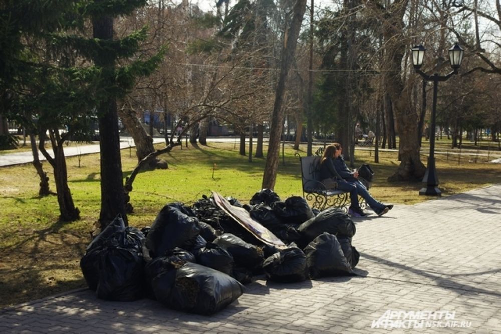 Каждую весну благодаря неравнодушным новосибирцам город преображается