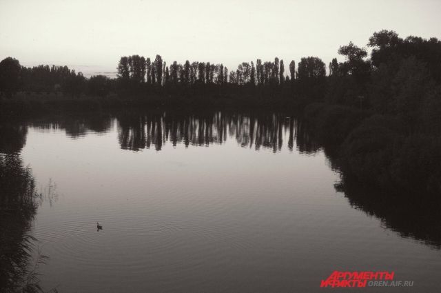 В Илекском районе в озере Голодное утонул мужчина