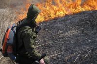 В России введен полный запрет на бесконтрольное выжигание сухой травы.