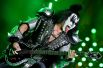 Музыкант группы Kiss Джин Симмонс выступает на концерте в СК «Олимпийский» в Москве.