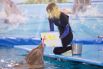 Дельфины умеют рисовать, последний снимок продали за 2000 рублей.