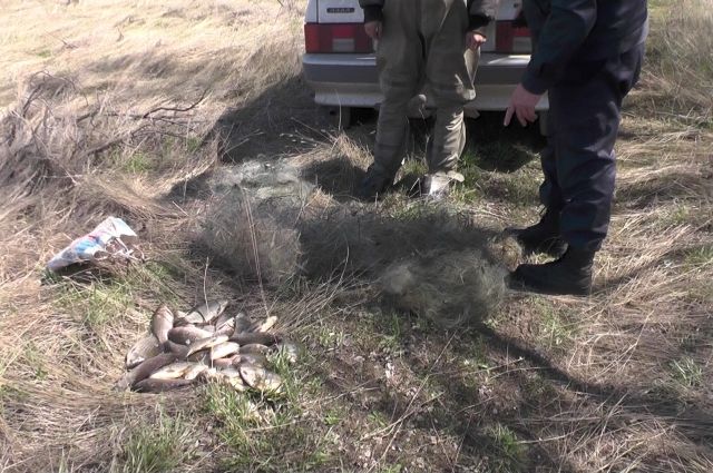 В Оренбуржье во время спецоперации «Нерест» пойманы 8 браконьеров